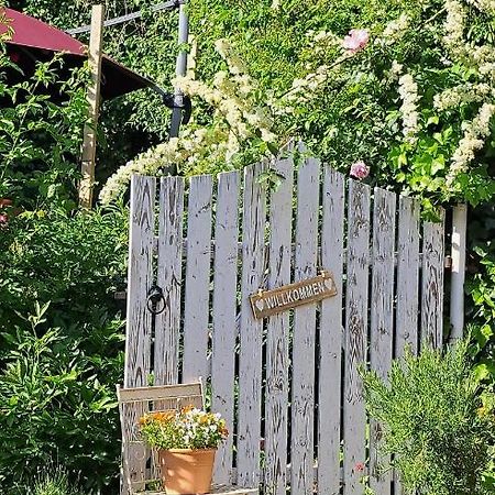 Gemuetliche Waldrandlage In Badenweiler Sehringen Ferienwohnung ภายนอก รูปภาพ