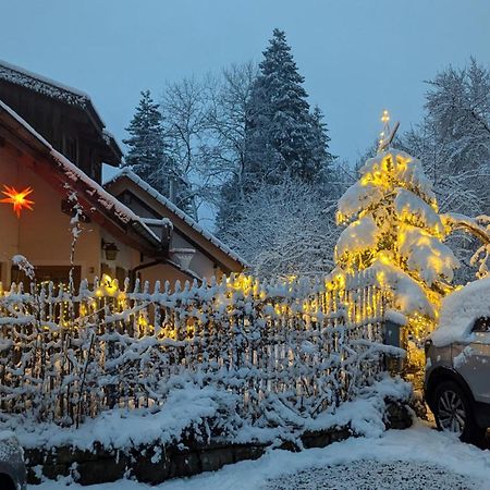 Gemuetliche Waldrandlage In Badenweiler Sehringen Ferienwohnung ภายนอก รูปภาพ