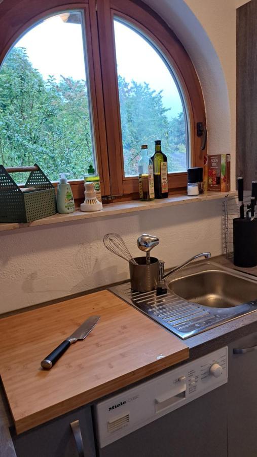 Gemuetliche Waldrandlage In Badenweiler Sehringen Ferienwohnung ภายนอก รูปภาพ