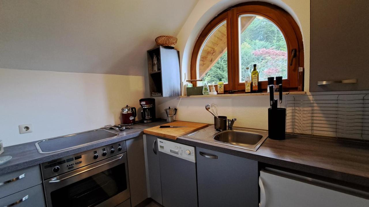 Gemuetliche Waldrandlage In Badenweiler Sehringen Ferienwohnung ภายนอก รูปภาพ