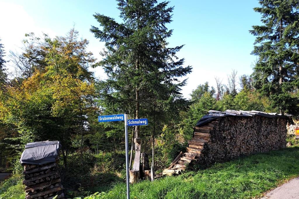 Gemuetliche Waldrandlage In Badenweiler Sehringen Ferienwohnung ภายนอก รูปภาพ
