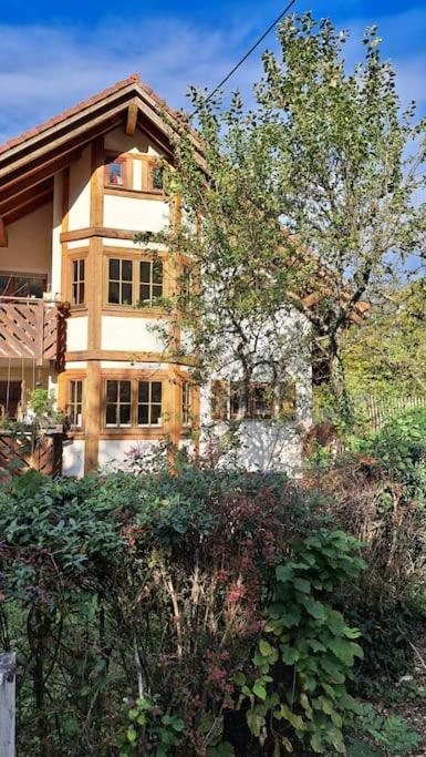 Gemuetliche Waldrandlage In Badenweiler Sehringen Ferienwohnung ภายนอก รูปภาพ