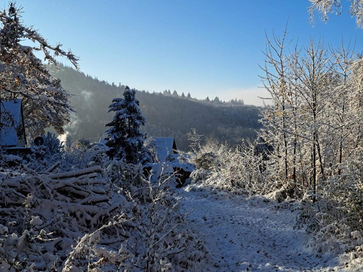 Gemuetliche Waldrandlage In Badenweiler Sehringen Ferienwohnung ภายนอก รูปภาพ