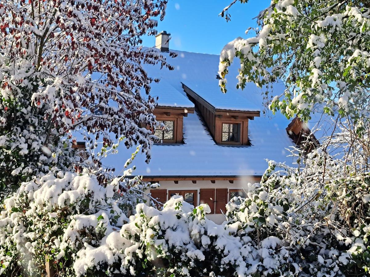 Gemuetliche Waldrandlage In Badenweiler Sehringen Ferienwohnung ภายนอก รูปภาพ