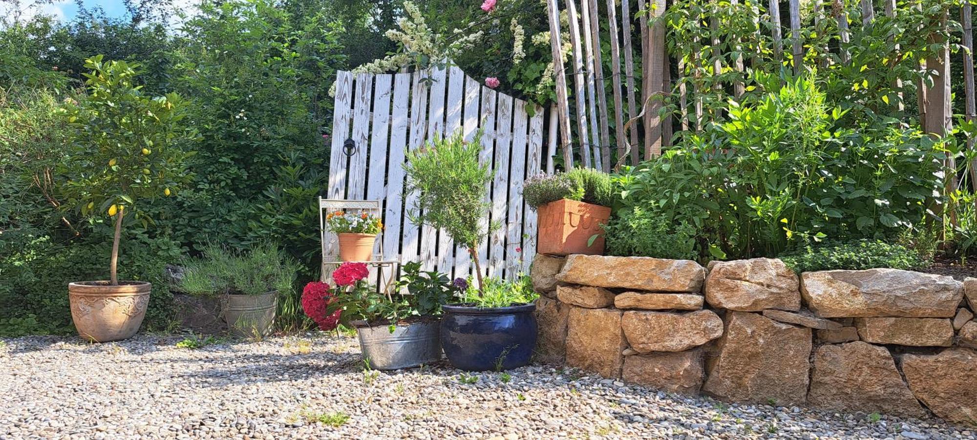Gemuetliche Waldrandlage In Badenweiler Sehringen Ferienwohnung ภายนอก รูปภาพ