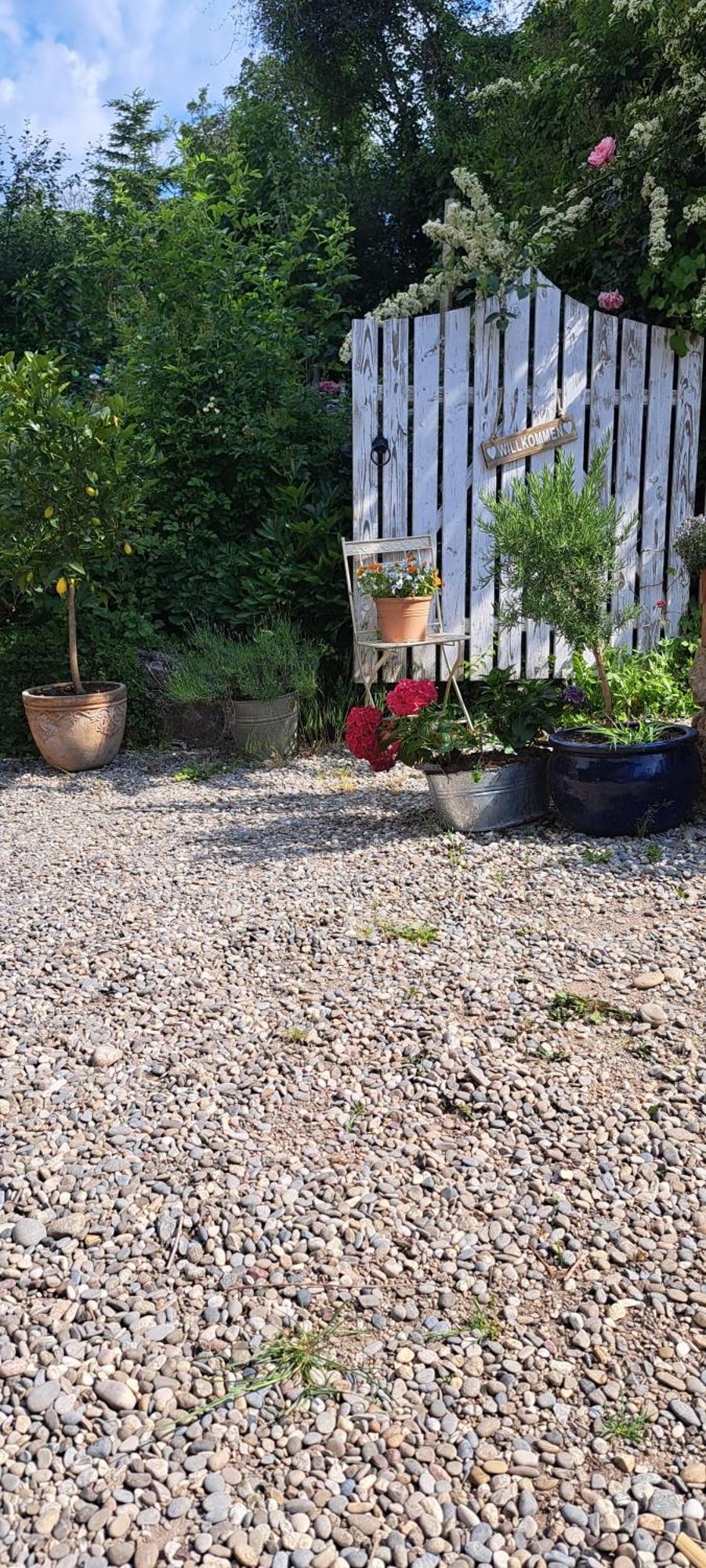 Gemuetliche Waldrandlage In Badenweiler Sehringen Ferienwohnung ภายนอก รูปภาพ